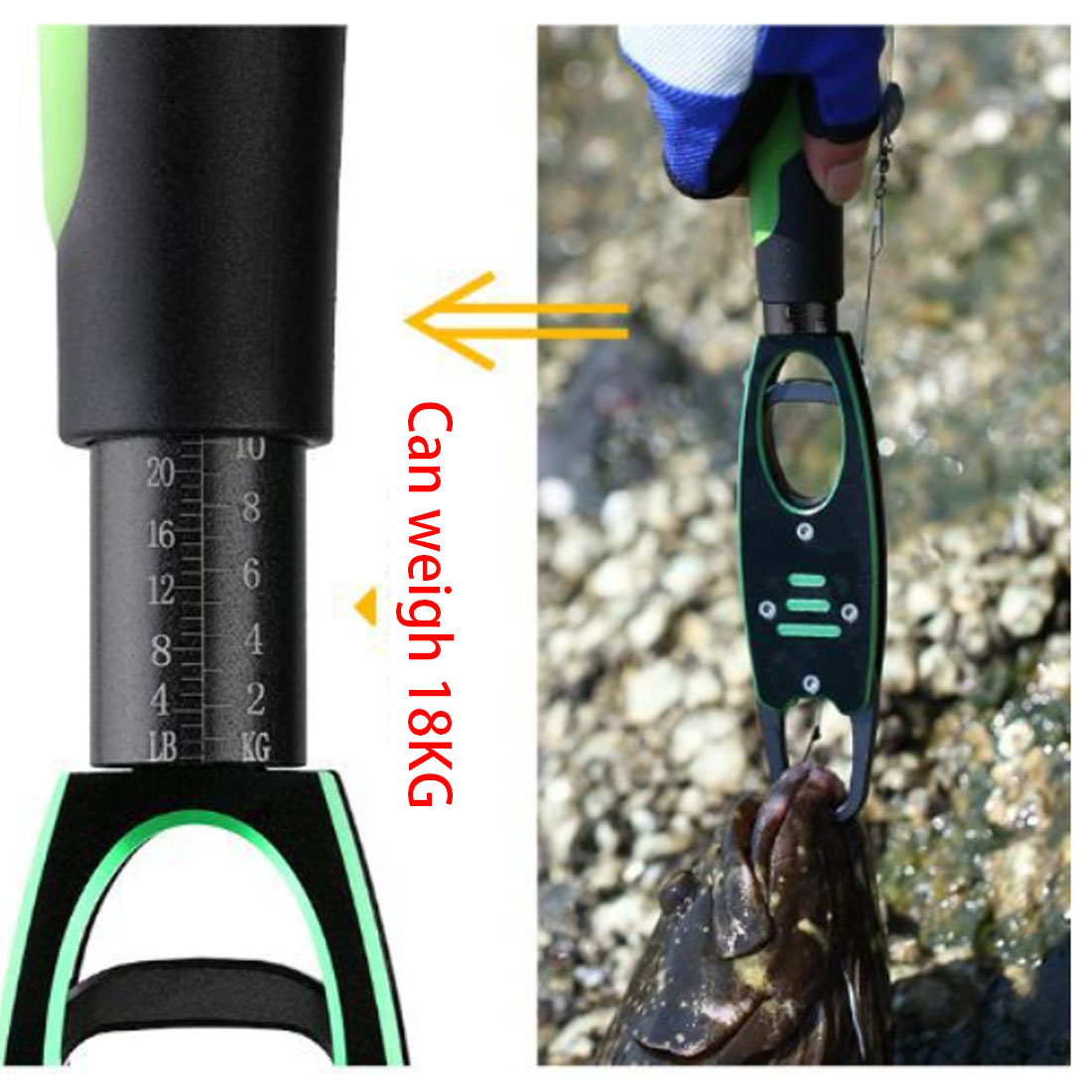 TAKEDO Hot Sale BL-040 Weighab - Fishing Pliers recension och pris