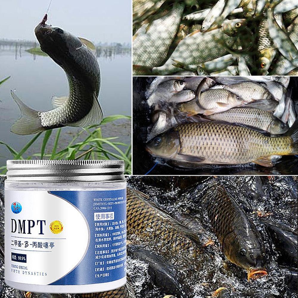 50g Real DMPT High Purity Fish - Fishing Equipment For Sale recension och pris
